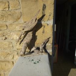 2 Sculpture bois flotté forme d' oiseau