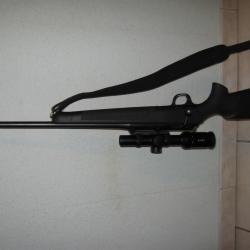 carabine blaser r8 professional