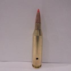 UNE  cartouche cal.243 WINCHESTER NEUTRALISEE  BALLE "SST HORNADY"  .