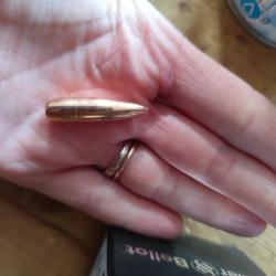 Boîte de 50 Ogives sellier et bellot .311 180 grains