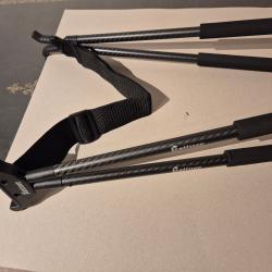 cannes de pirsch kettner 1  sans prix de réserve