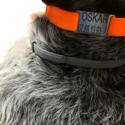 M&eacute;daille chien 20 mm