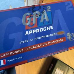 Lot Balles SOLOGNE GPA2 300 weath mag