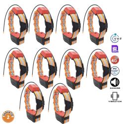 Lot 10 x Colliers GPS TR DOG V2