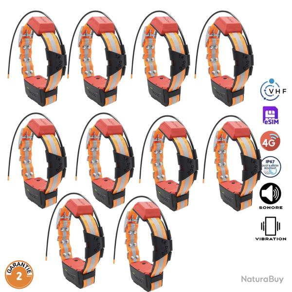 Lot 10 x Colliers GPS TR DOG V2