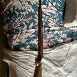 Carabine à plombs diana modèle 50