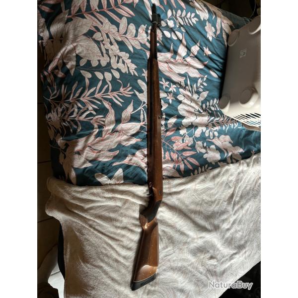 Carabine  plombs diana modle 50