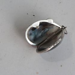 Bo&icirc;te &agrave; pilule Moule argent