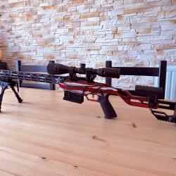 RUGER PR&Eacute;CISION RIMFIRE USA &Eacute;QUIPER