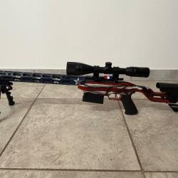 RUGER PR&Eacute;CISION RIMFIRE USA vendu nu