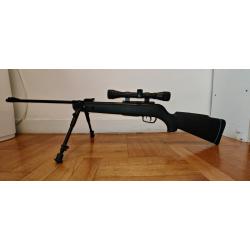 GAMO BIGCAT 1000-EIGT 4.5mm - très bon état
