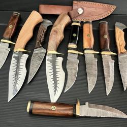 Très beau lot de 10 couteaux lame acier Damas et D2 manche en Bois et corne de Buffle
