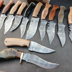 Très beau lot de 11 couteaux lame acier Damas manche en Bois et corne de  Buffle et Bélier