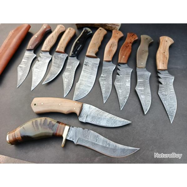 Trs beau lot de 11 couteaux lame acier Damas manche en Bois et corne de  Buffle et Blier