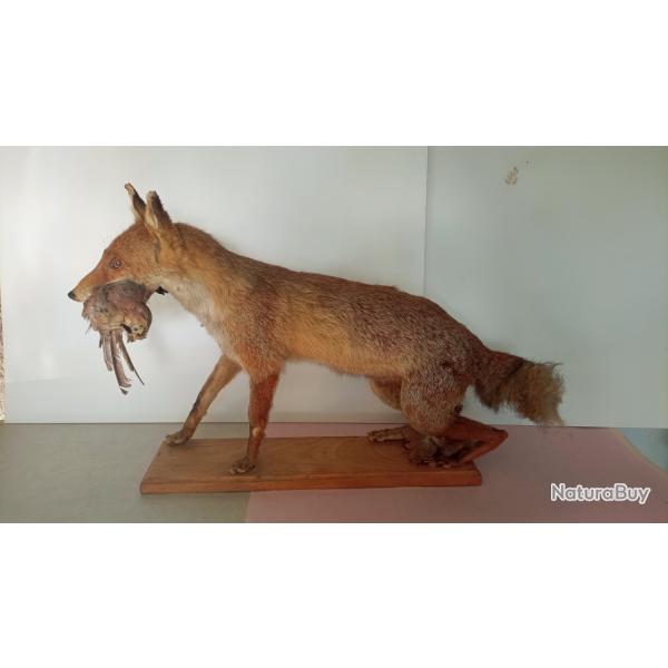 Renard avec oiseau sur socle en bois