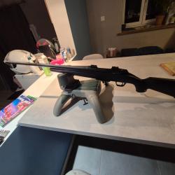 Winchester xpr 243 winchester