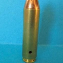 UNE  cartouche cal. 450 BUSHMASTER PAR HORNADY balle " FTX"  NEUTRALISEE