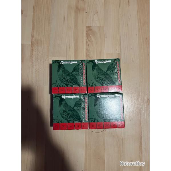 Remington shurShot dispersante