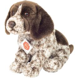 Peluche chiot Braque, 30 cm