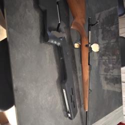 vend CZ 550 avec deux crosses