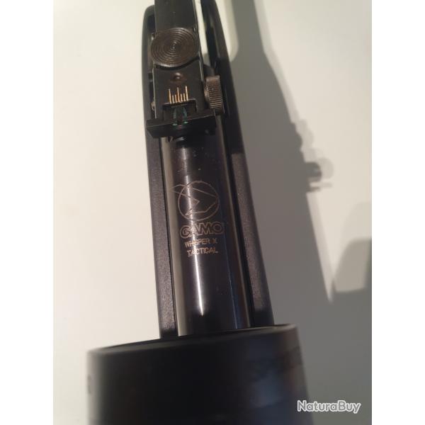 Carabine 4.5 mm gamo 19 joules trs bon tat  avec lunettes 6 par 40