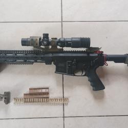 Fusil Windham Weaponry mod&egrave;le WW-308 Cal.308 rem canon 16"