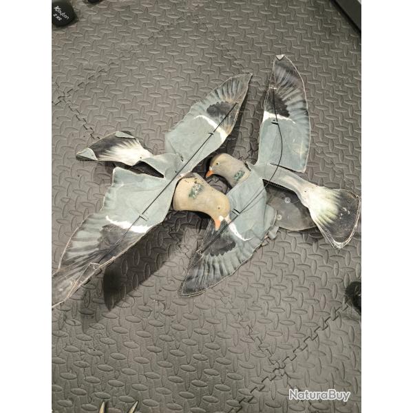 Pack de 2 pigeons hypaflap