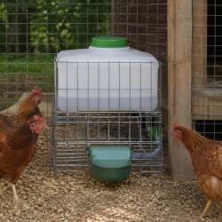 Abreuvoir automatique multi-animaux 10 L Gaun