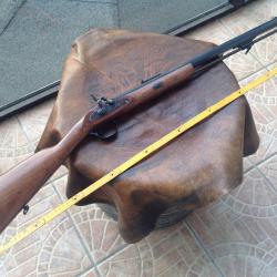 Carabine à percussion  "Ardesa" modèle "DeerHunter" en cal45.