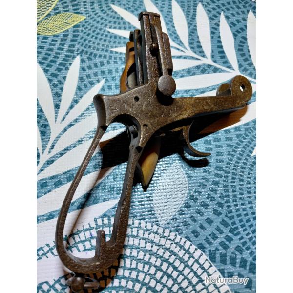 carcasse gasser montenegrin