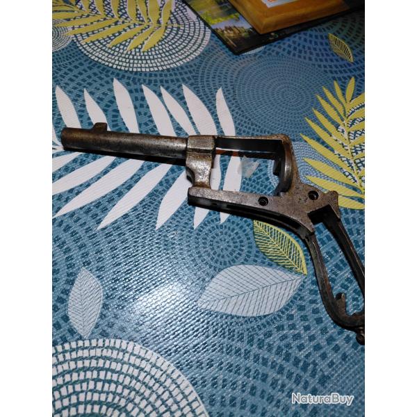 carcasse gasser montenegrin