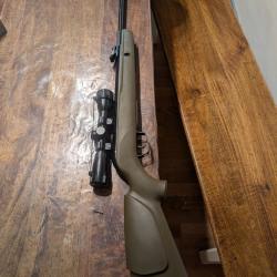 carabine Big Cat 1000 E Barricade est chambrée en calibre 4,5 mm diabolo état neuf . 19,9 JOULES