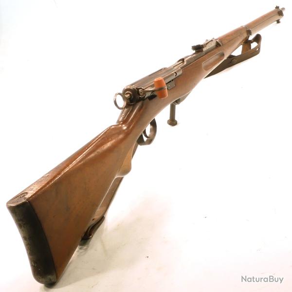 SCHMIDT RUBIN   -   G11  -   22lr a un coup