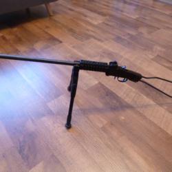 carabine 22LR chiappa little bagder