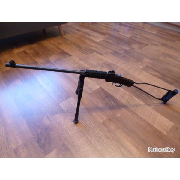 carabine 22LR chiappa little bagder