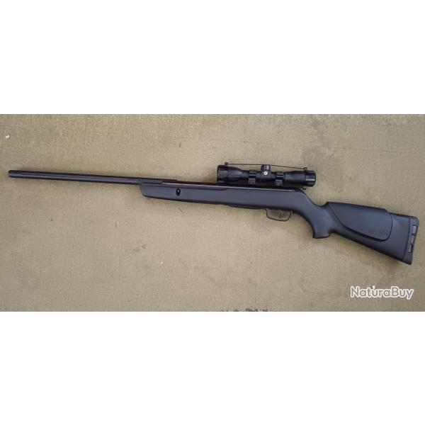 CARABINE GAMO BIG CAT TURBO 1250 19,9 joules AVEC LUNETTE 4X32