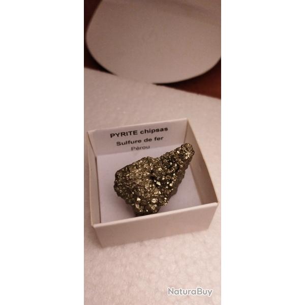 Fossile et min�raux pyrite P�rou collection objet de curiosit� pierre pr�cieuse or diamant