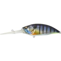 BIG M 7.5 - G WILD GILL BM