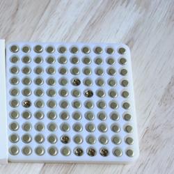 x100 Amorces CCI Small Rifle n°41