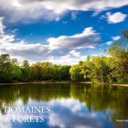 Domaine de Pêche avec exploitation commerciale, Hauts-de-France sur environ 13 hectares DF-1134-A