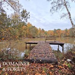 Propriété d'Agrément en Sologne d'environ 12 hectares DF-1150-S