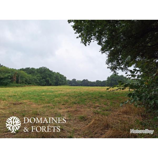 Propri�t� en Sologne (41) d'environ 80 hectares DF-1149-S