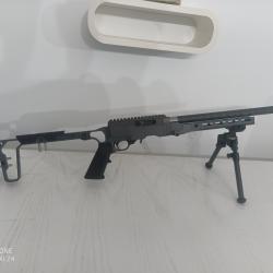 Carabine Greybirch 22 lr