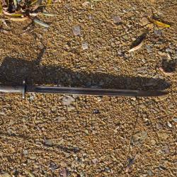 Baïonnette Anglaise de 1917 "modèle 1907" - 14-18 1GM