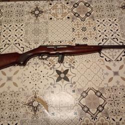 reina 22lr semi auto