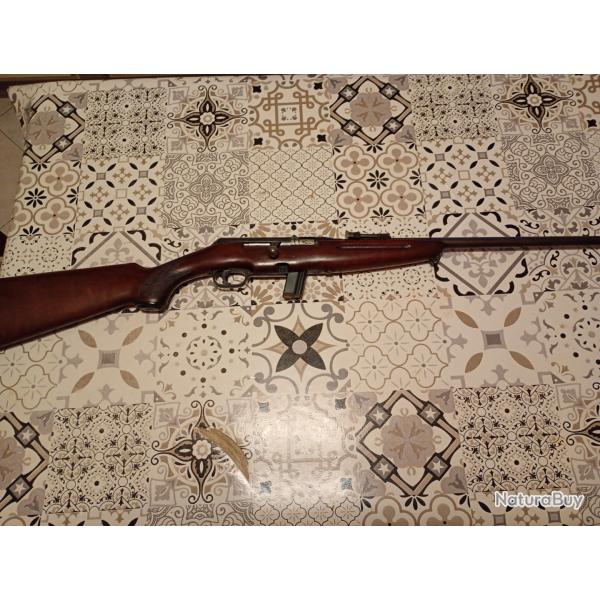 reina 22lr semi auto