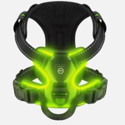 Harnais Lumineux LED Rechargeable pour Chien - Sans Traction, Réglable & Confort Vert