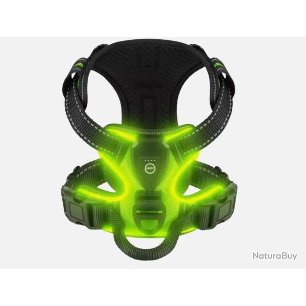 Harnais Lumineux LED Rechargeable pour Chien - Sans Traction, Rglable & Confort Vert
