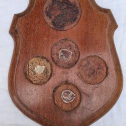 porte medailles ecu en bois vide