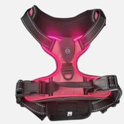 Harnais Lumineux LED Rechargeable pour Chien - Sans Traction, Réglable & Confort Rose